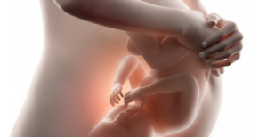 This is an image illustration of a pregnant woman showing baby movement inside the womb