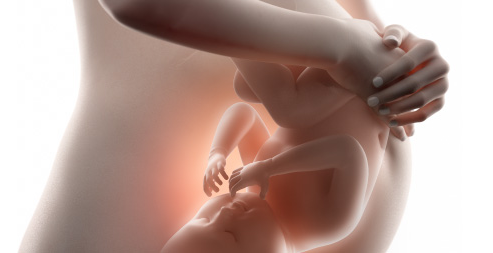 This is an image illustration of a pregnant woman showing baby movement inside the womb